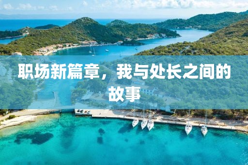 职场新篇章，我与处长之间的故事
