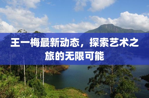 王一梅最新动态，探索艺术之旅的无限可能
