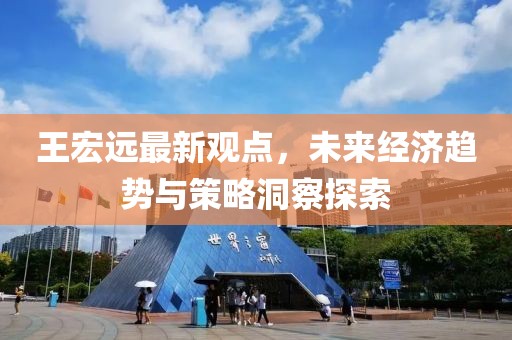 王宏远最新观点，未来经济趋势与策略洞察探索