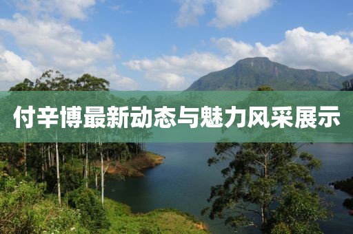 付辛博最新动态与魅力风采展示