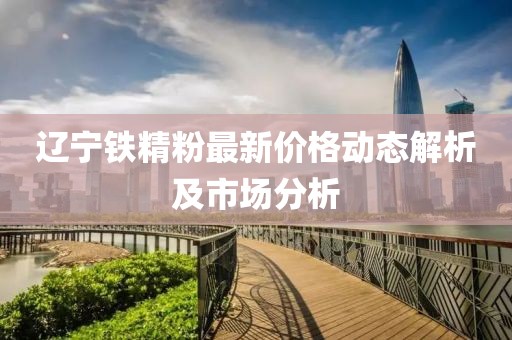 辽宁铁精粉最新价格动态解析及市场分析