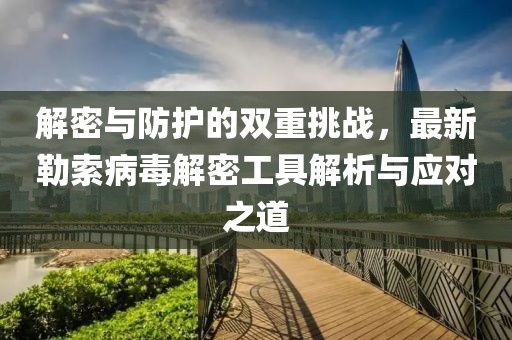 解密与防护的双重挑战，最新勒索病毒解密工具解析与应对之道