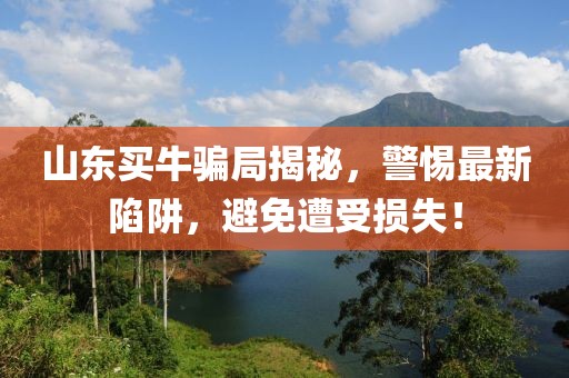 山东买牛骗局揭秘，警惕最新陷阱，避免遭受损失！