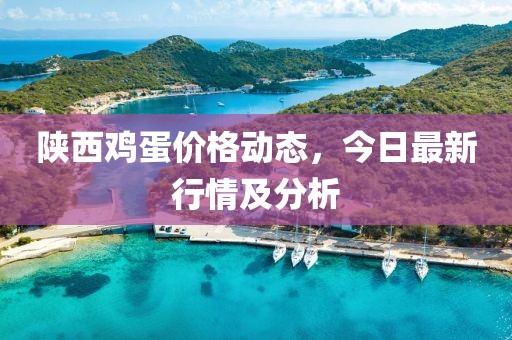 陕西鸡蛋价格动态，今日最新行情及分析