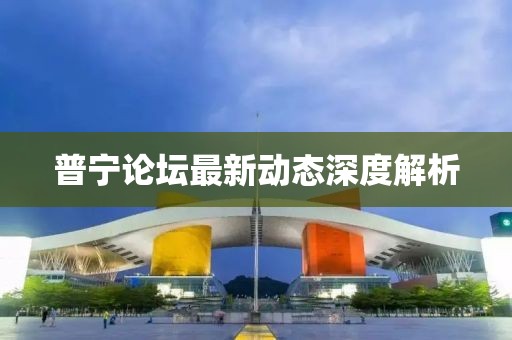普宁论坛最新动态深度解析