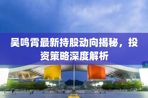 吴鸣霄最新持股动向揭秘，投资策略深度解析