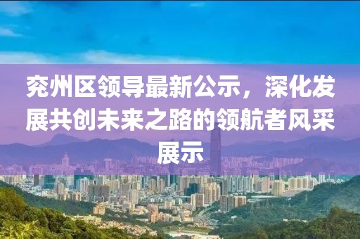 兖州区领导最新公示，深化发展共创未来之路的领航者风采展示