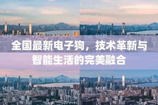 全国最新电子狗，技术革新与智能生活的完美融合