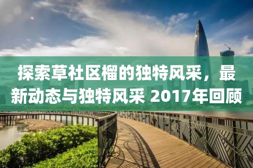 探索草社区榴的独特风采，最新动态与独特风采 2017年回顾