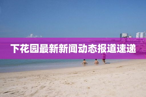 下花园最新新闻动态报道速递