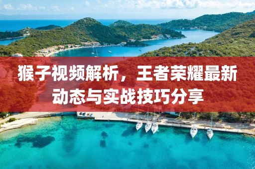 猴子视频解析，王者荣耀最新动态与实战技巧分享