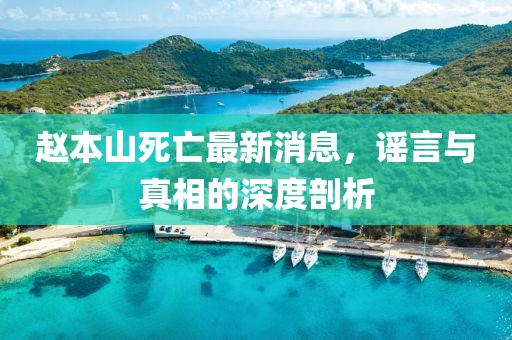 赵本山死亡最新消息，谣言与真相的深度剖析