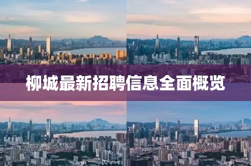 柳城最新招聘信息全面概览