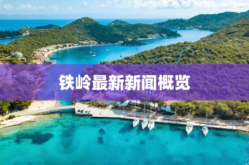 铁岭最新新闻概览