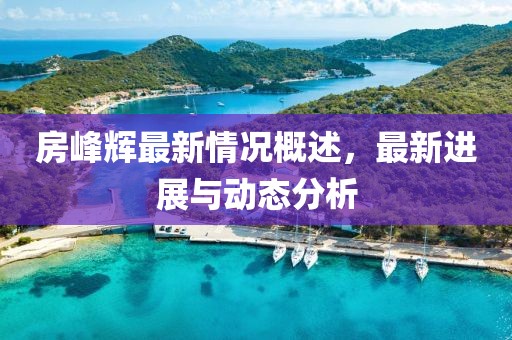 房峰辉最新情况概述，最新进展与动态分析