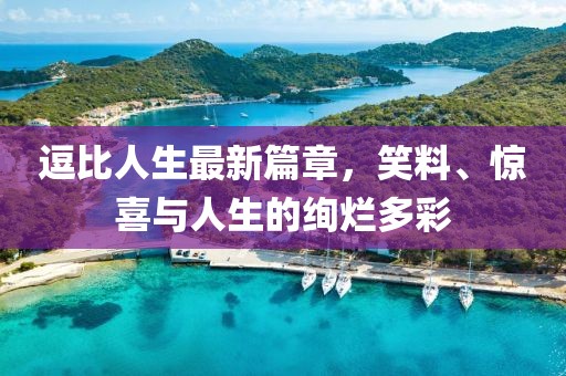 逗比人生最新篇章，笑料、惊喜与人生的绚烂多彩