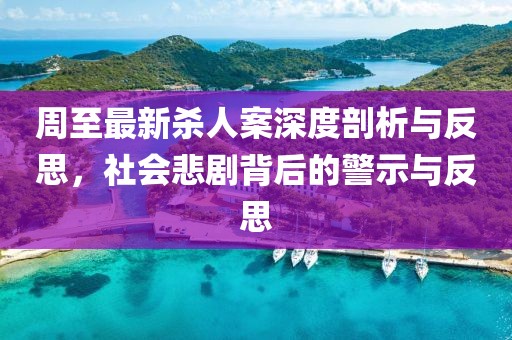 周至最新杀人案深度剖析与反思，社会悲剧背后的警示与反思