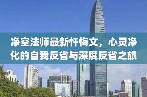 净空法师最新忏悔文，心灵净化的自我反省与深度反省之旅