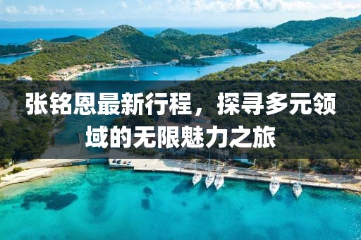 张铭恩最新行程，探寻多元领域的无限魅力之旅