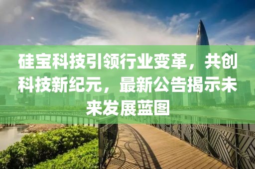 硅宝科技引领行业变革，共创科技新纪元，最新公告揭示未来发展蓝图