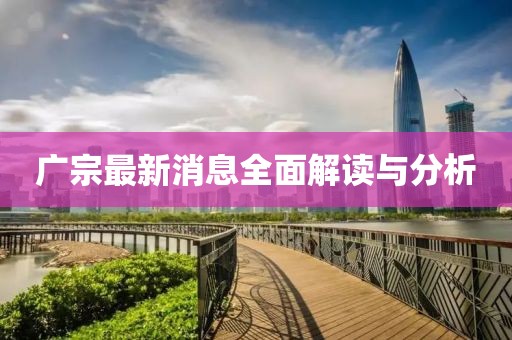 广宗最新消息全面解读与分析