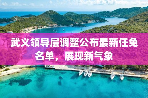 武义领导层调整公布最新任免名单，展现新气象
