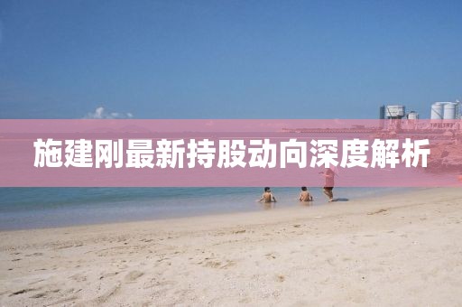 施建刚最新持股动向深度解析