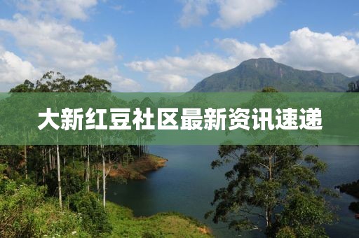 大新红豆社区最新资讯速递