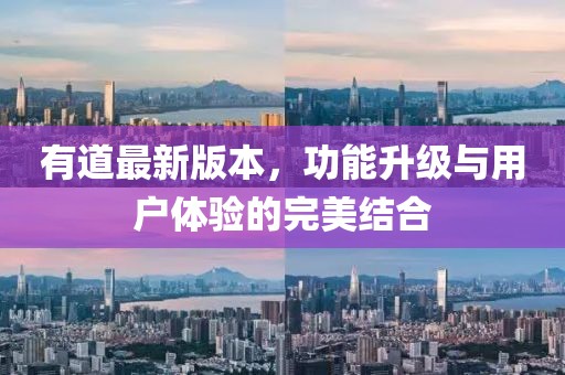 有道最新版本，功能升级与用户体验的完美结合