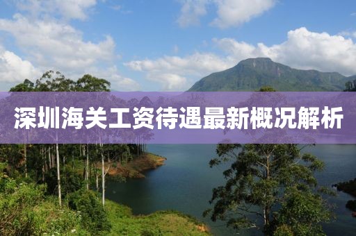 深圳海关工资待遇最新概况解析