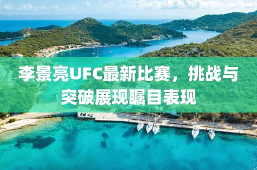 李景亮UFC最新比赛，挑战与突破展现瞩目表现