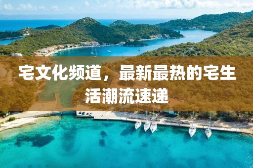 宅文化频道，最新最热的宅生活潮流速递