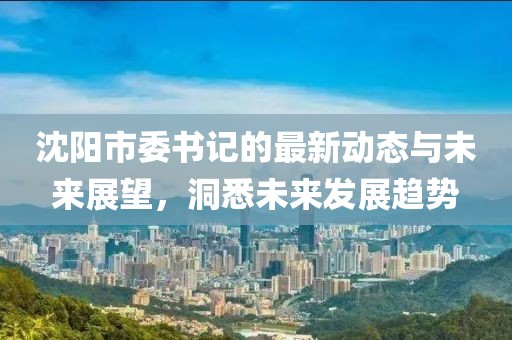 沈阳市委书记的最新动态与未来展望，洞悉未来发展趋势