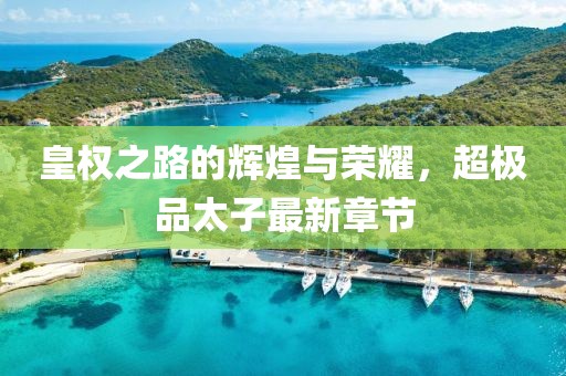 皇权之路的辉煌与荣耀，超极品太子最新章节