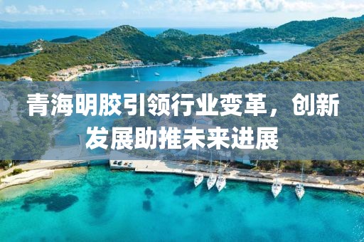 青海明胶引领行业变革，创新发展助推未来进展