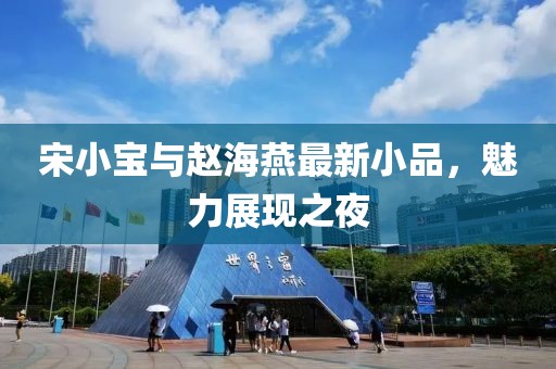宋小宝与赵海燕最新小品，魅力展现之夜