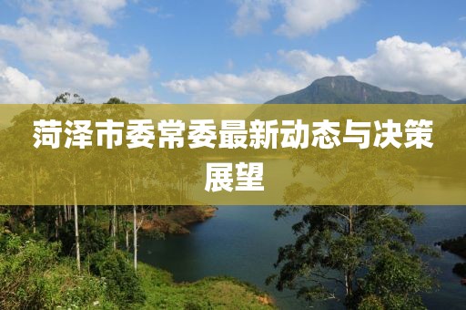 菏泽市委常委最新动态与决策展望