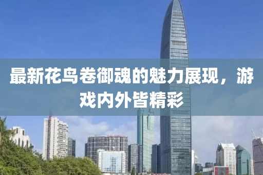 最新花鸟卷御魂的魅力展现，游戏内外皆精彩