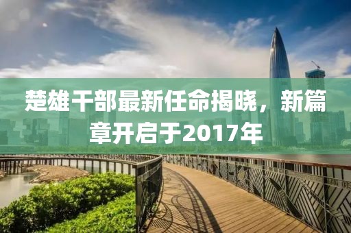 楚雄干部最新任命揭晓，新篇章开启于2017年