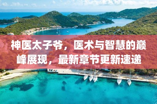 神医太子爷，医术与智慧的巅峰展现，最新章节更新速递