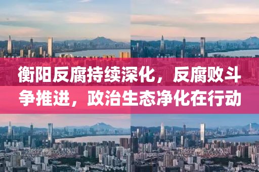 衡阳反腐持续深化，反腐败斗争推进，政治生态净化在行动