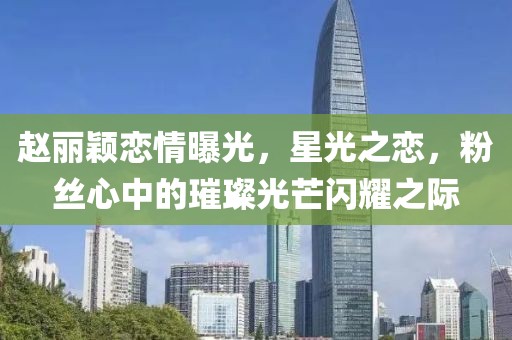 澳门免费资料 第29页