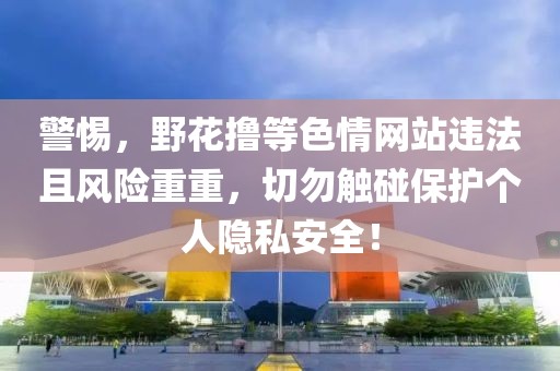 警惕，野花撸等色情网站违法且风险重重，切勿触碰保护个人隐私安全！