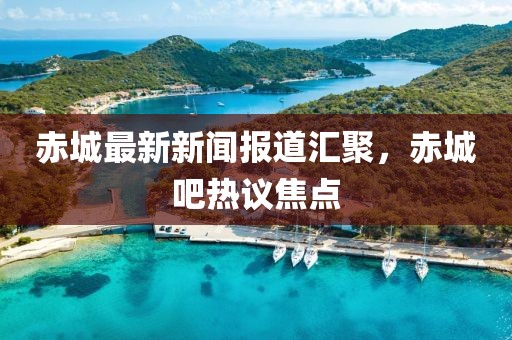 赤城最新新闻报道汇聚，赤城吧热议焦点