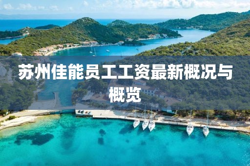 苏州佳能员工工资最新概况与概览