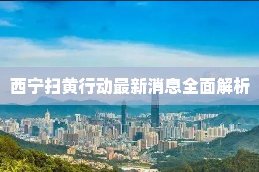 西宁扫黄行动最新消息全面解析