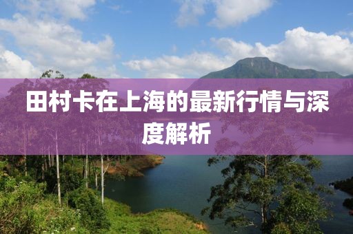田村卡在上海的最新行情与深度解析