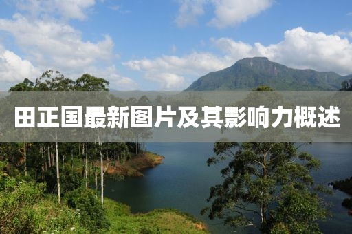 田正国最新图片及其影响力概述