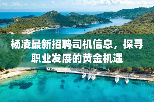 杨凌最新招聘司机信息，探寻职业发展的黄金机遇