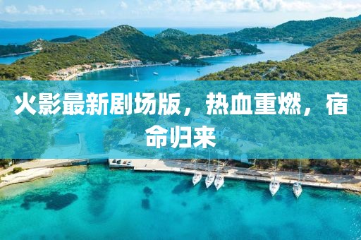 公司简介 第667页